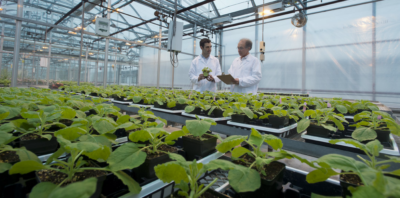 One Day, Plants Could Grow Your Meds, Say U of G Researchers