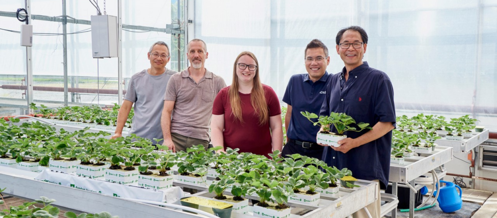U of G Researchers Take Agri-Food Challenge to the Next Level 