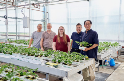 U of G Researchers Take Agri-Food Challenge to the Next Level 