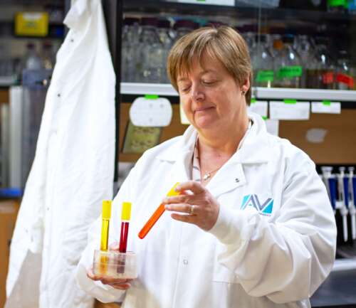 A person in a lab coat stands in a lab and pulls out test tubes filled with coloured liquids from a tube holder