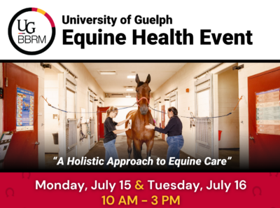 University of Guelph Equine Health Event. A holistic approach to equine care. Monday, July 15 and Tuesday, July 16. 10 a.m. to 3 p.m. Two women groom a horse tied in a cross-tie in a barn hallway.