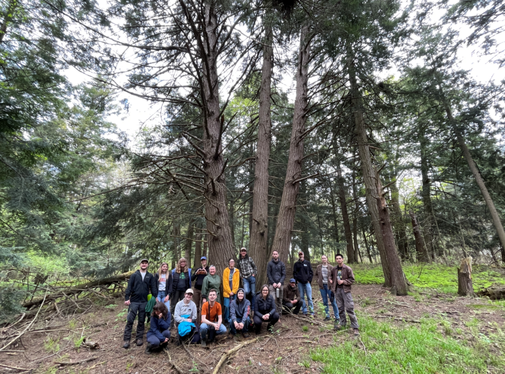 Several people pose in a forest of tall evergreens