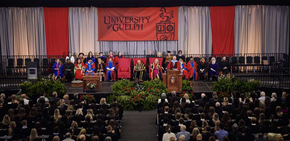 A wide shot of a convocation ceremony with several people in regalia sitting on stage facing out to a large audience