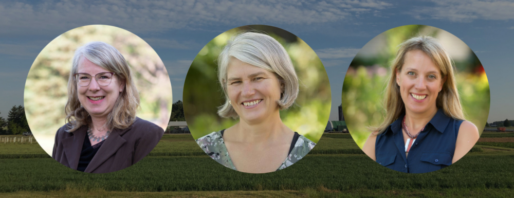 a field with the three headshots overlaid,: those of Drs. Laura Van Eerd, Claudia Wagner-Riddle and Kari Dunfield