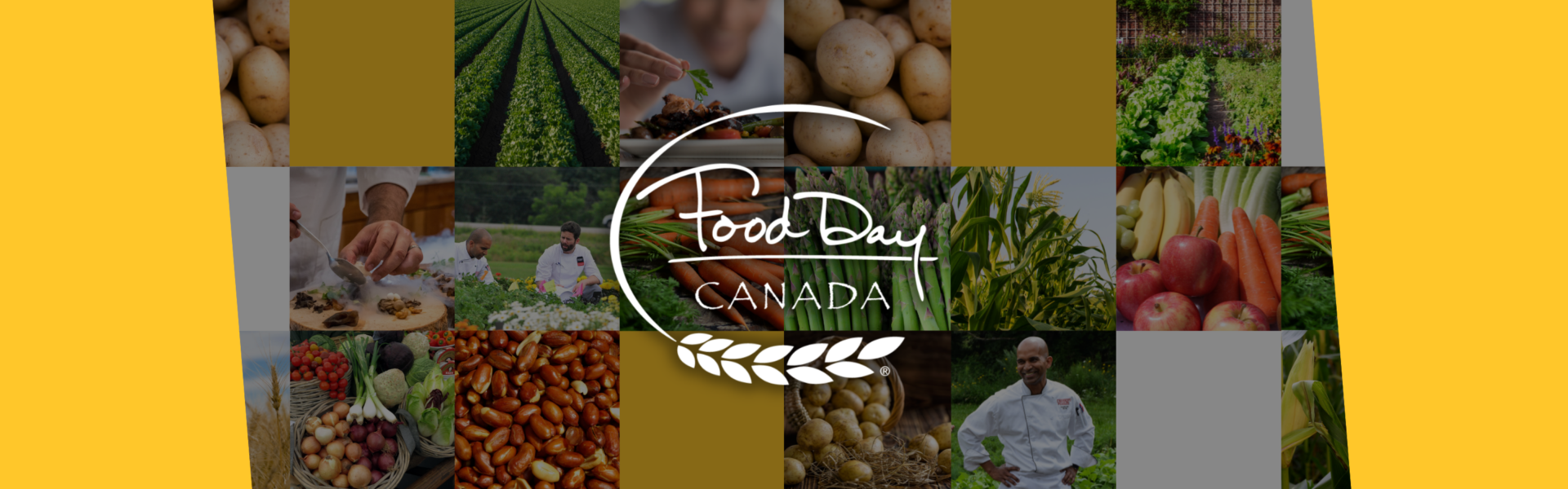 Food Day Canada. A grid of pictures of various foods, producers and chefs, including field of green crops, a bed of lettuce, a pile of potatoes, a hand plating food, chefs picking produce, carrots, asparagus, corn, and onions.