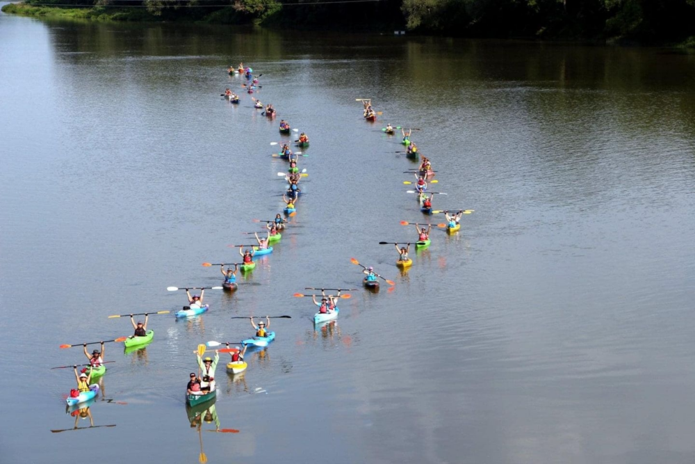 On a body of water, dozens of canoests on parallel rows hold up their paddles for a photo.