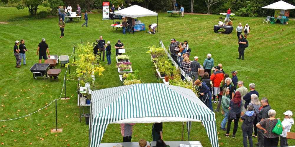 People browse plants on a green lawn at the arboretum expo.