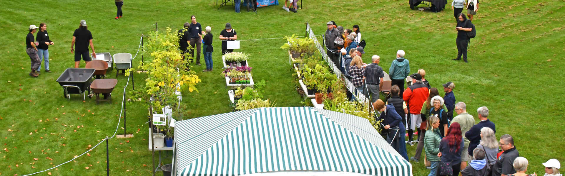 People browse plants on a green lawn at the arboretum expo.