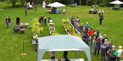 Arboretum Expo: Tree Day and Plant Sale Celebrates Plants and People