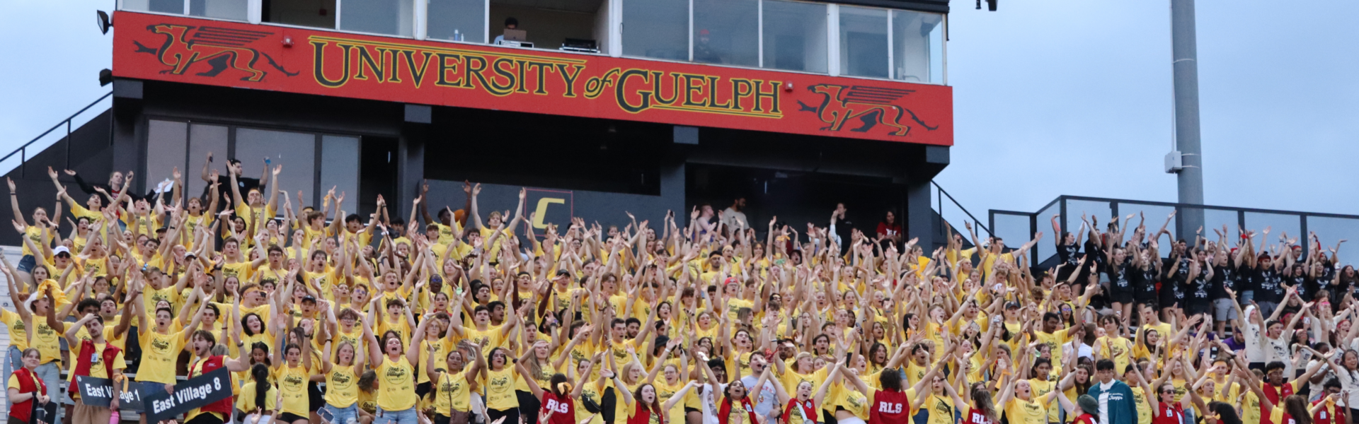 A crowd of students holds their arms up in the stands, half the group wears blue and half wears yellow