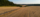 Rural landscape with golden fields stretching into the distance, bordered by dense green forest on one side. A narrow dirt road cuts through the fields, leading towards distant hills under a clear blue sky.