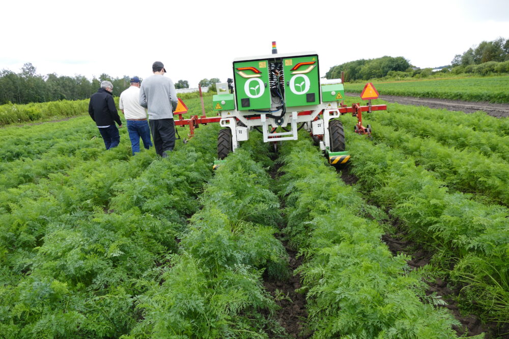 Robot on a field of carrots while three operators stand by. The robot is a green boxed shape, coloured green with two stickers that represent eyes, with a red bar over two wheels, and just about taller than the operators beside it.