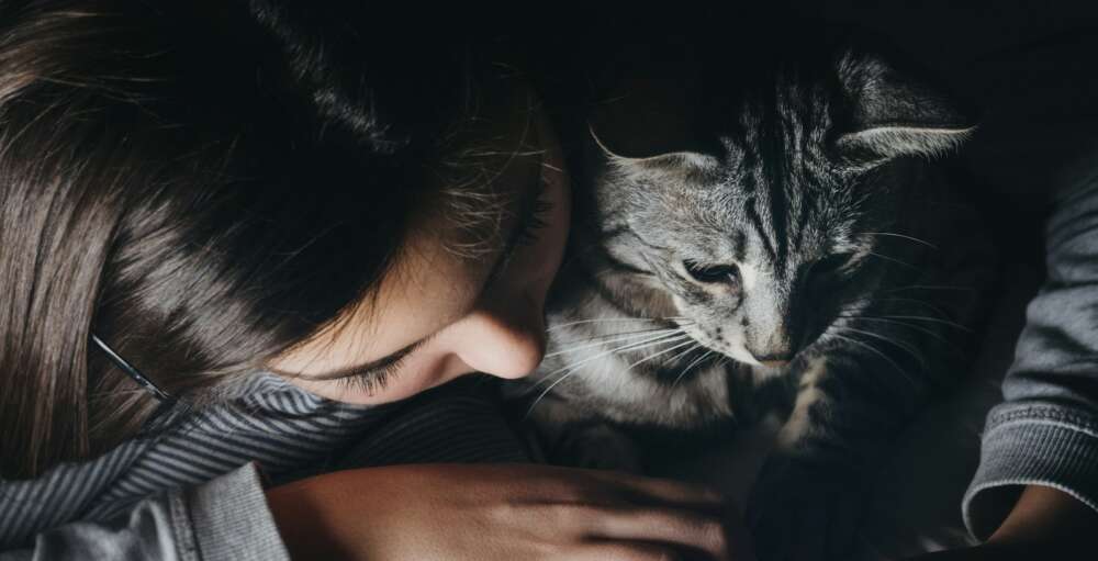 person holding smartphone with cat watching reclined on theri shoulder