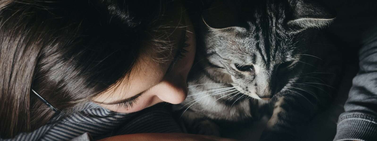 person holding smartphone with cat watching reclined on theri shoulder