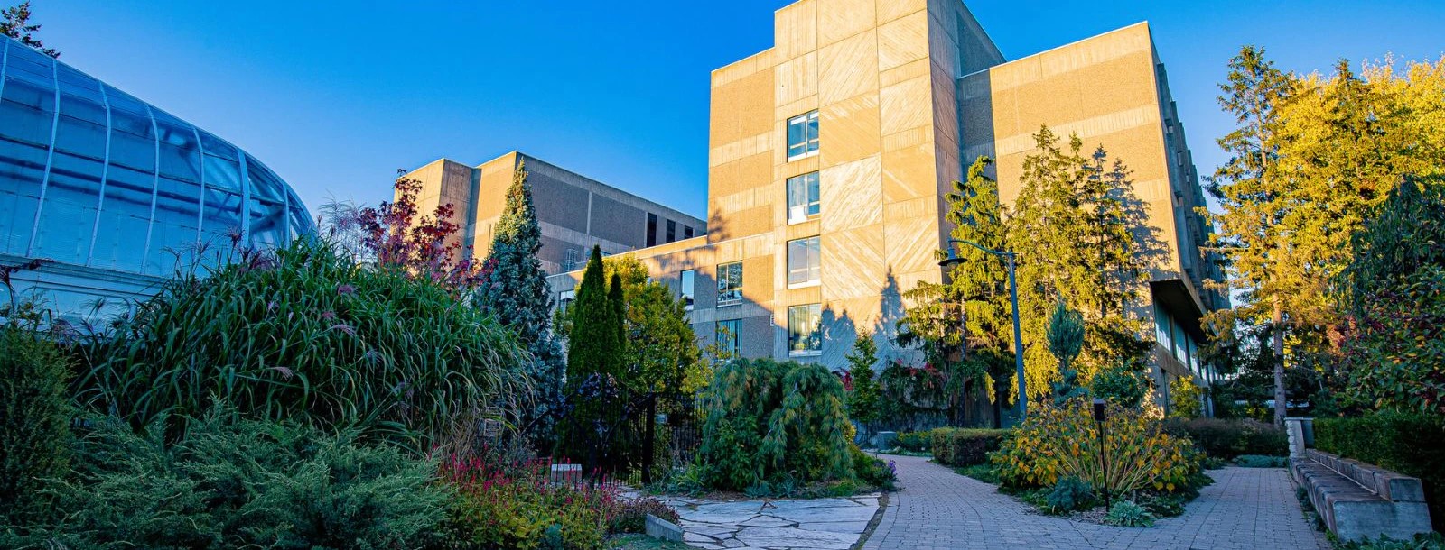 a path leading to the university centre on a sunny, early fall day