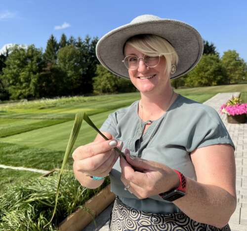 A person with blonde hair, glasses and a hat wearing a sage green shirt and a red and black watch holds out a strand of sweetgrass with lush green lawn and trees in the background.