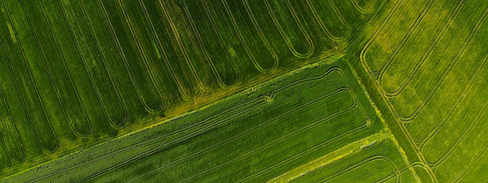 green farm land with lines from planting