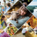 A collage of photos relating to one health, including a woman holding a sheep, a person on a dairy farm, a river, a plate of food, and a bee.