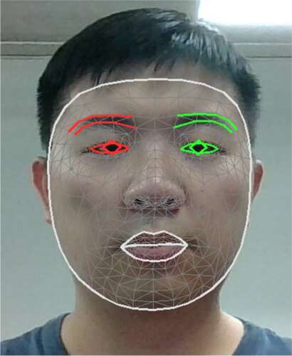 A person's face is shown with design software tracing facial features with red, green and white outlines.