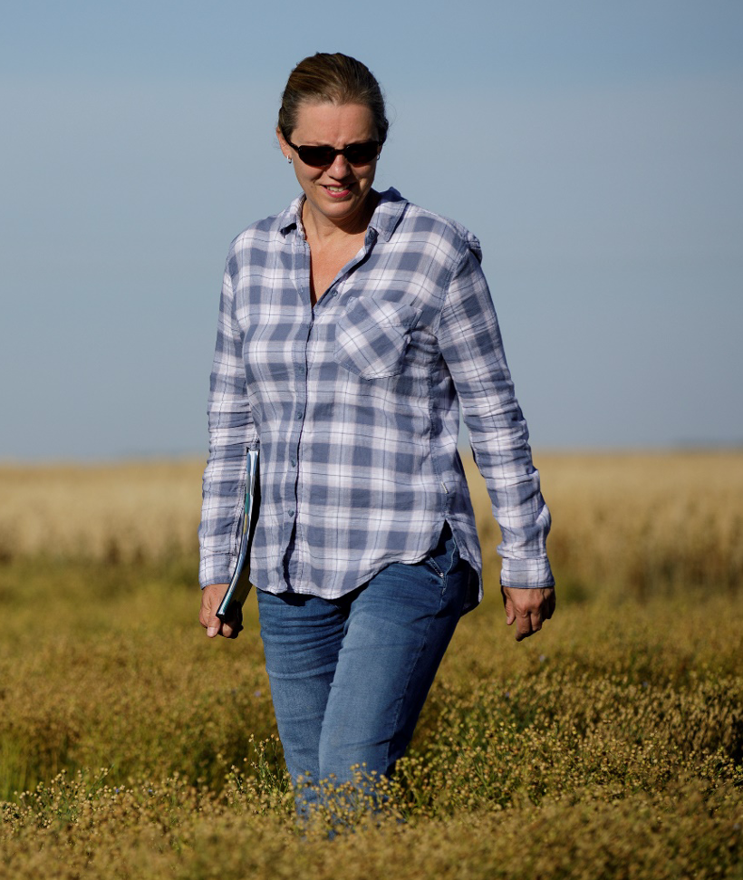 Dr. Helen Booker stands in the middle of a wheat field, looking down