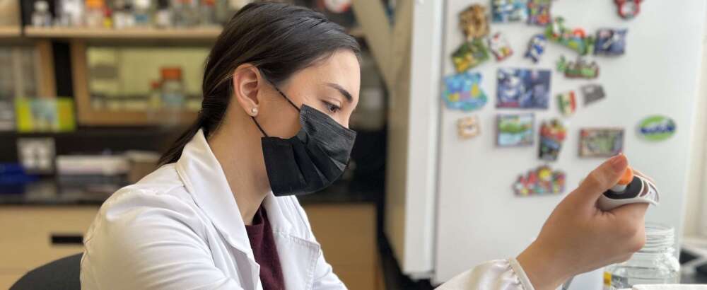 A person with brown hair wearing a black face mask and a white lab coat sits at a desk and transfers specimen.