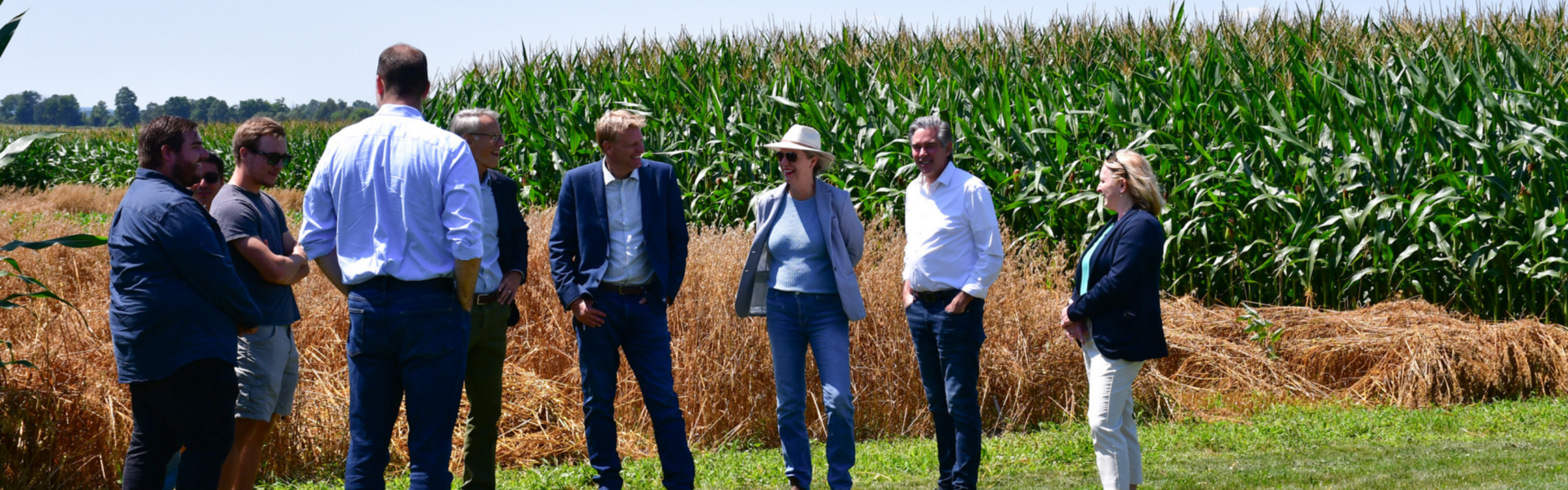 A group of people stand together in a wheat and corn field, engaged in conversation. The field has mature wheat in the foreground and tall green corn in the background. The individuals, dressed in casual and business attire, appear to be participating in a field visit or agricultural tour on a sunny day. The scene highlights collaboration and discussion in a farming or research setting.