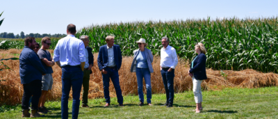 U of G Researchers Breeding the Perfect Wheat to Resist Disease