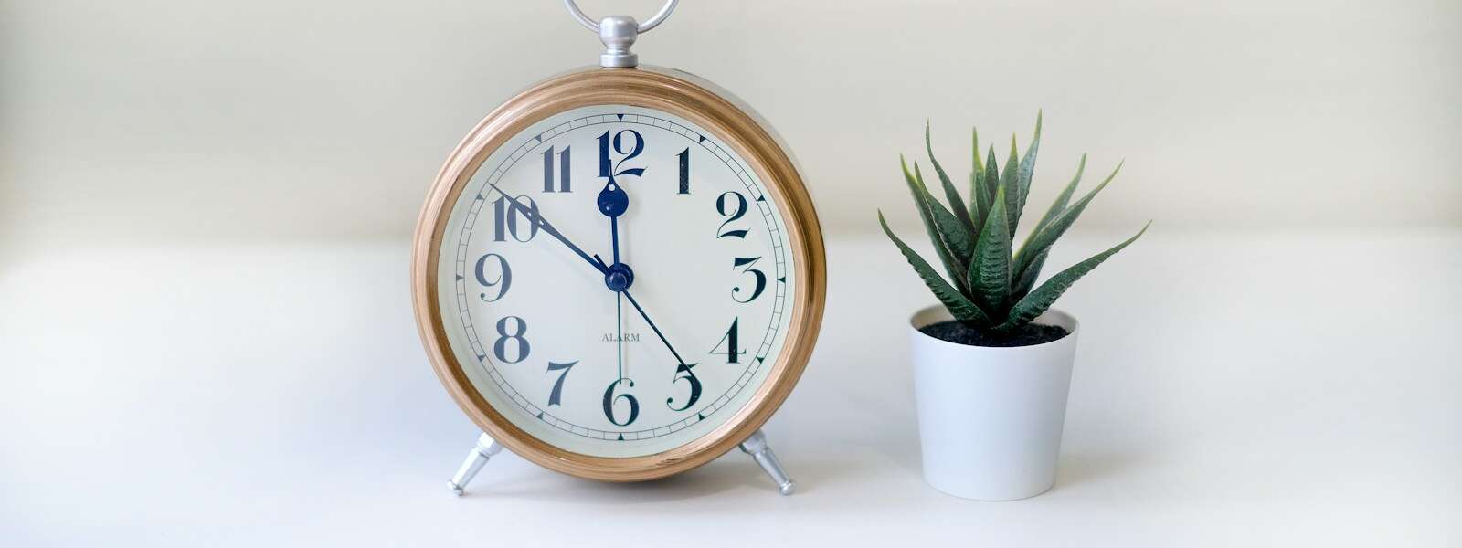 a clock next to a potted plant on a table