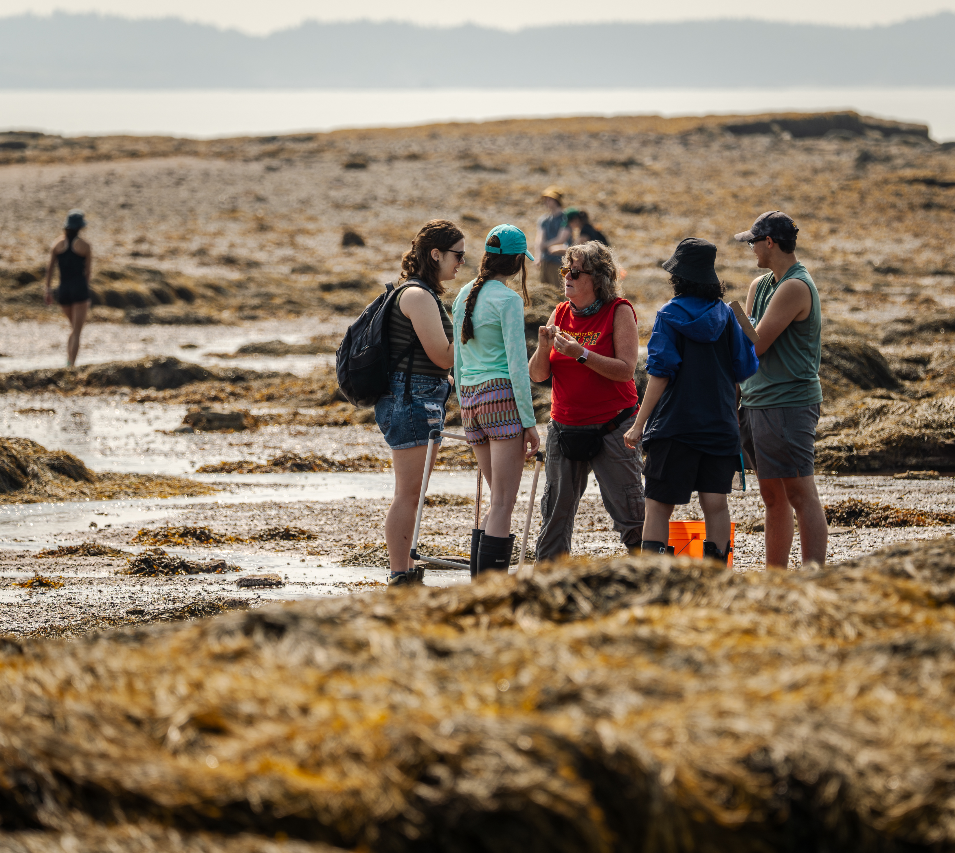 A group of students and an instructor gather on a rocky, seaweed-covered shoreline, engaged in a discussion. The students, equipped with backpacks and boots, appear focused on the instructor, who gestures with her hands. The beach stretches out around them with more people in the background, creating a coastal landscape backdrop for this outdoor learning session.