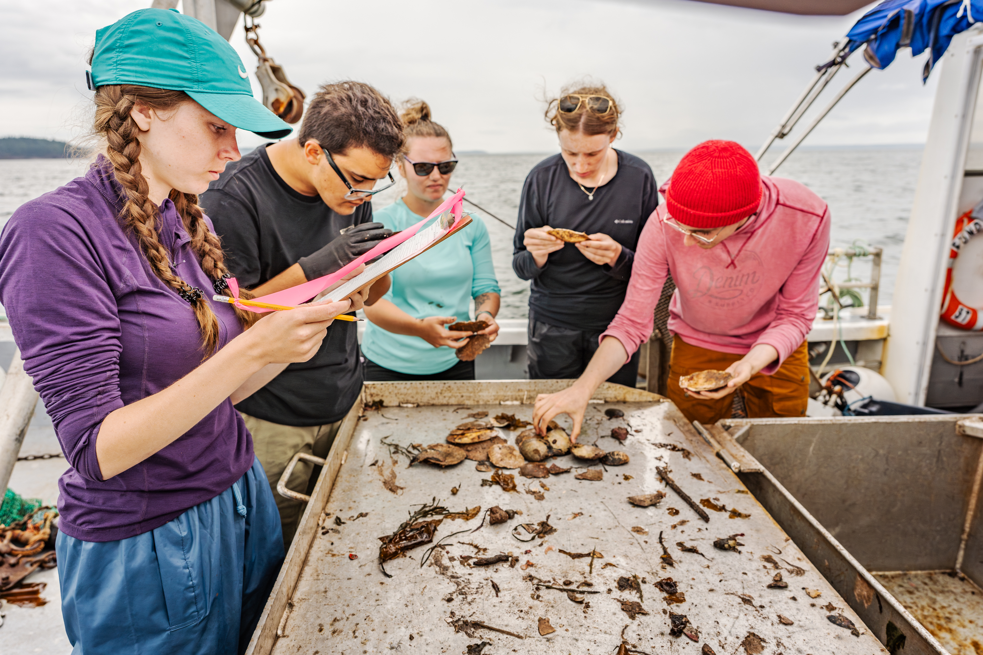 Students gathered around a table on a boat, examining marine specimens and taking notes. One student holds a clipboard, and the group appears focused on their observations.