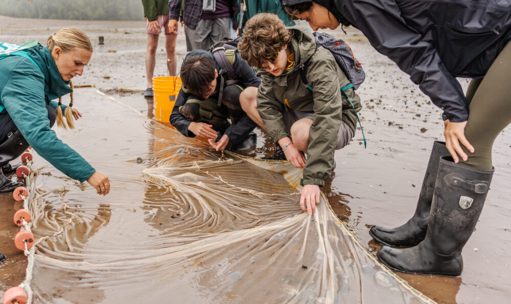 A group of students crouched on a beach near the water, inspecting a large net laid out in the sand.