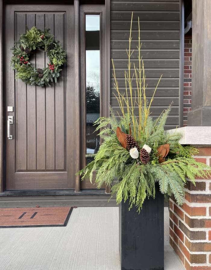 A seasonal holiday planter with yellow dogwood.