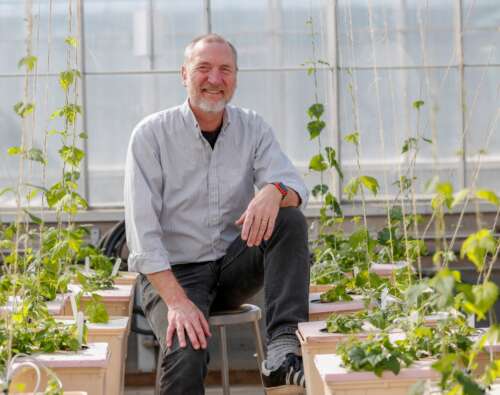 A man sits on a stool in a greenhouse surrounded by potted plants