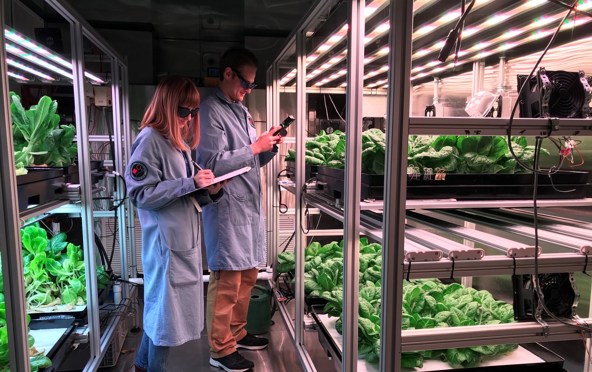 two students in lab coats and sunglasses examine plants on stands in a controlled environment growing facility