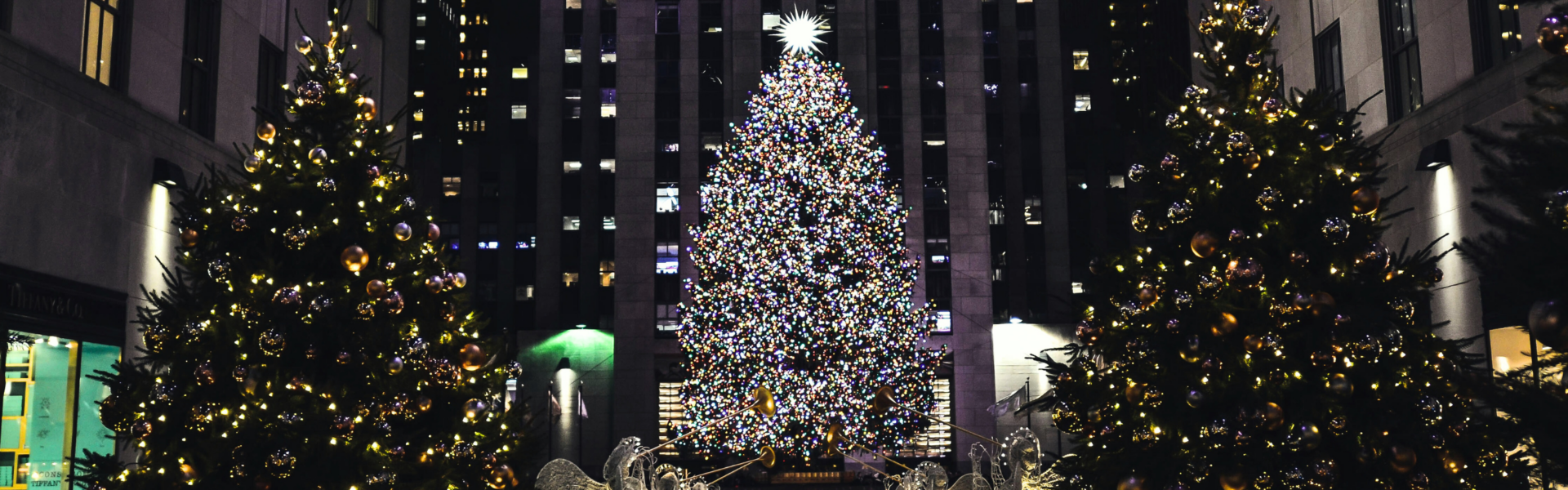 Three christmas trees light up urban street, a nativity scene is in the foreground