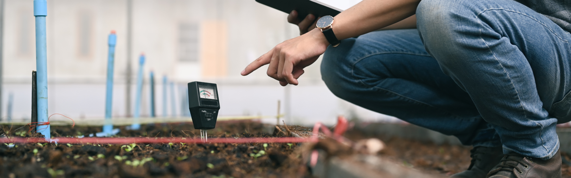 Person leans over and points to a device embedded in soil, taking measurements.