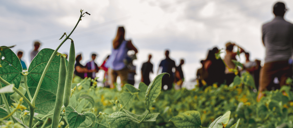 U of G Receives Over $ 16M to Lead National Agri-Food Innovation and Training Platform  