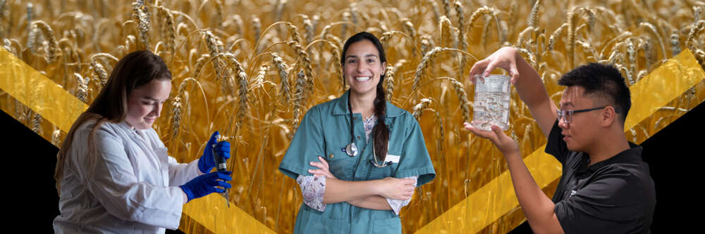 a graphic with wheat wit three people: a person in alab coat working; a vet in medical scrubs; and aperson holding up a vial of clear liquid