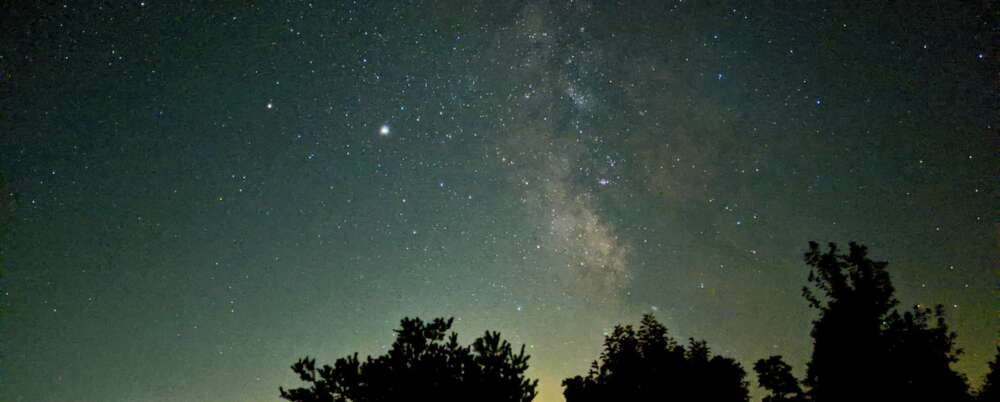 silhouette of trees under starry night
