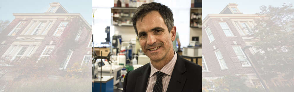 a photo of Dr. Alejandro Maraongoni in his lab overlaid on a photos of the U of G Food Science building