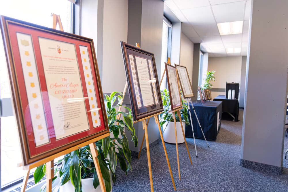 A row of frames that hold the lists of student experience awards line the wall.