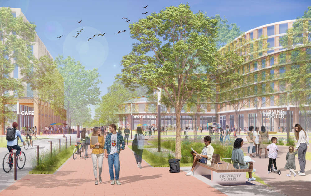 Building Futures: U of G’s Bold Real Estate Strategy for Thriving ...