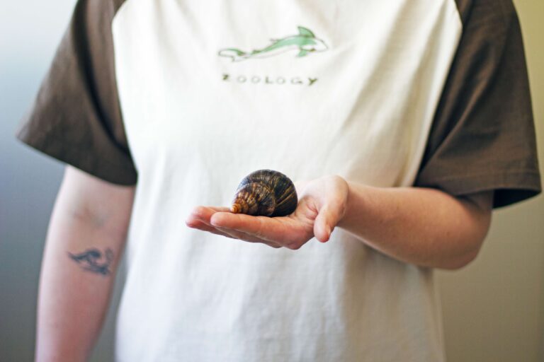 A person wearing a two-tone shirt labeled “Zoology” gently holds a large brown snail in the palm of their hand. The focus is on the snail, with the person’s face out of frame.