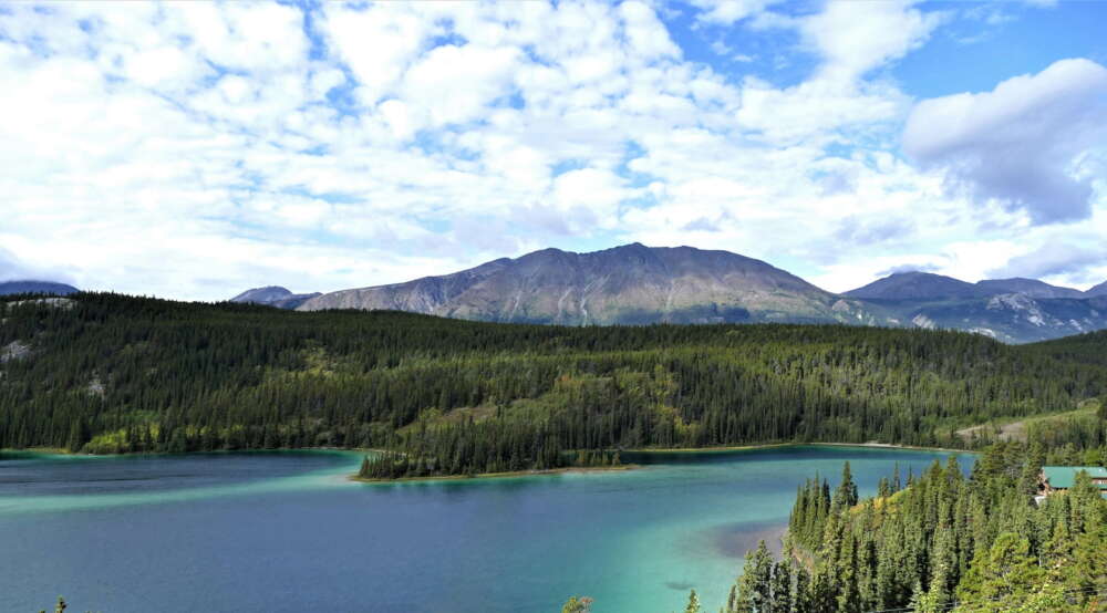 A panoramic view of a turquoise lake surrounded by dense evergreen forest, with a rugged mountain range rising in the background under a partly cloudy sky.