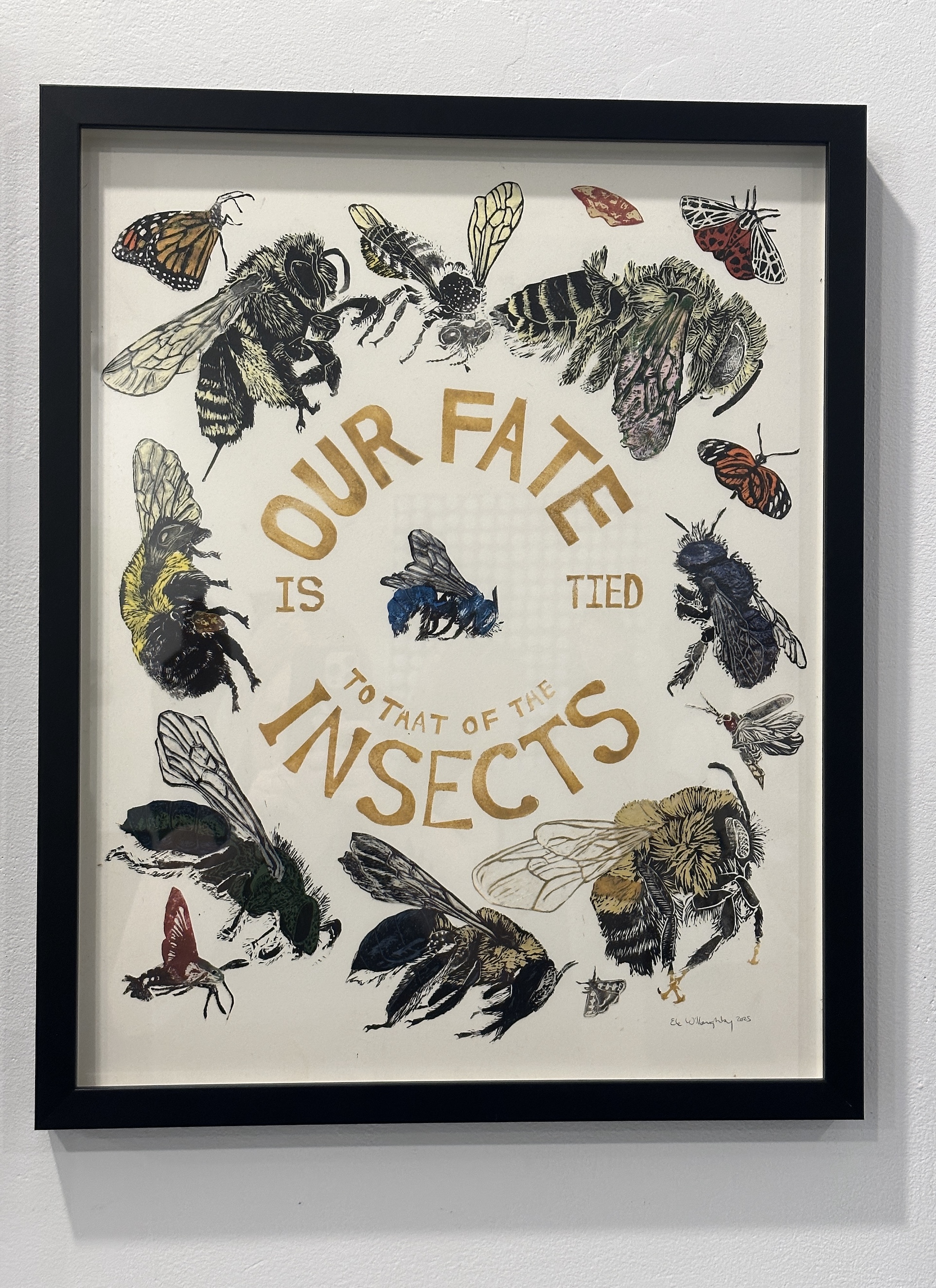 Two black framed pieces of art depicting coloured text, plants and insects hang on a white gallery wall.