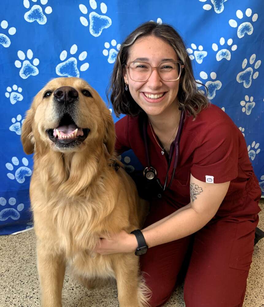 OVC student Shanelle Berthier kneels beside a golden dog