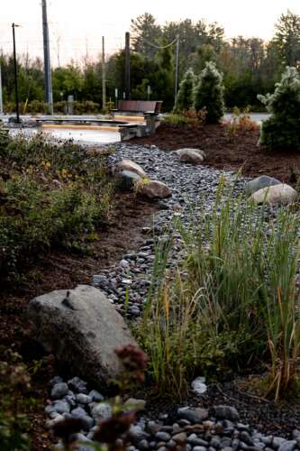 A stone path with larger rocks weaves through a landscape of greenery and soil outside the Canadian Canoe Museum.