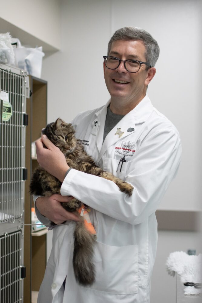 Dr. Shane Bateman wearing a white lab coat and glasses gently holds a fluffy brown tabby cat in an animal hospital. They are standing next to a metal cage with medical supplies visible above it.