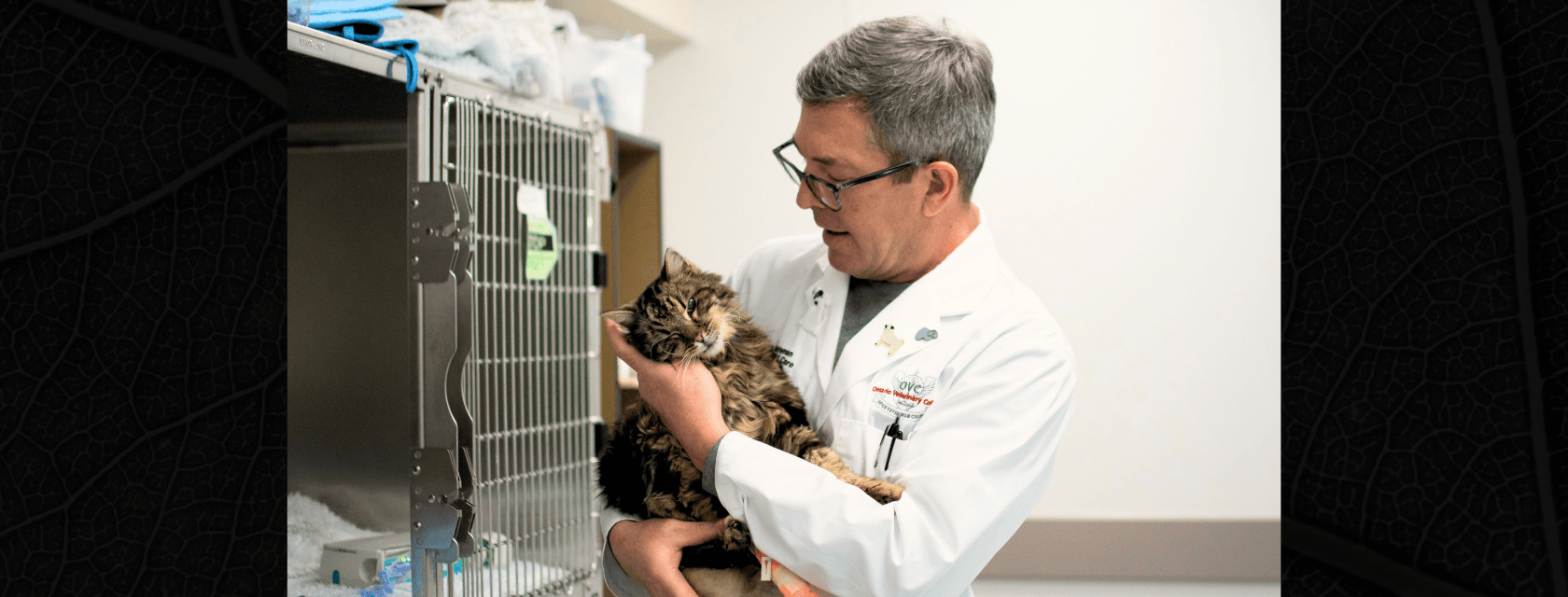 A veterinarian wearing a white lab coat and glasses gently holds a fluffy brown tabby cat in an animal hospital. They are standing next to a metal cage with medical supplies visible above it.