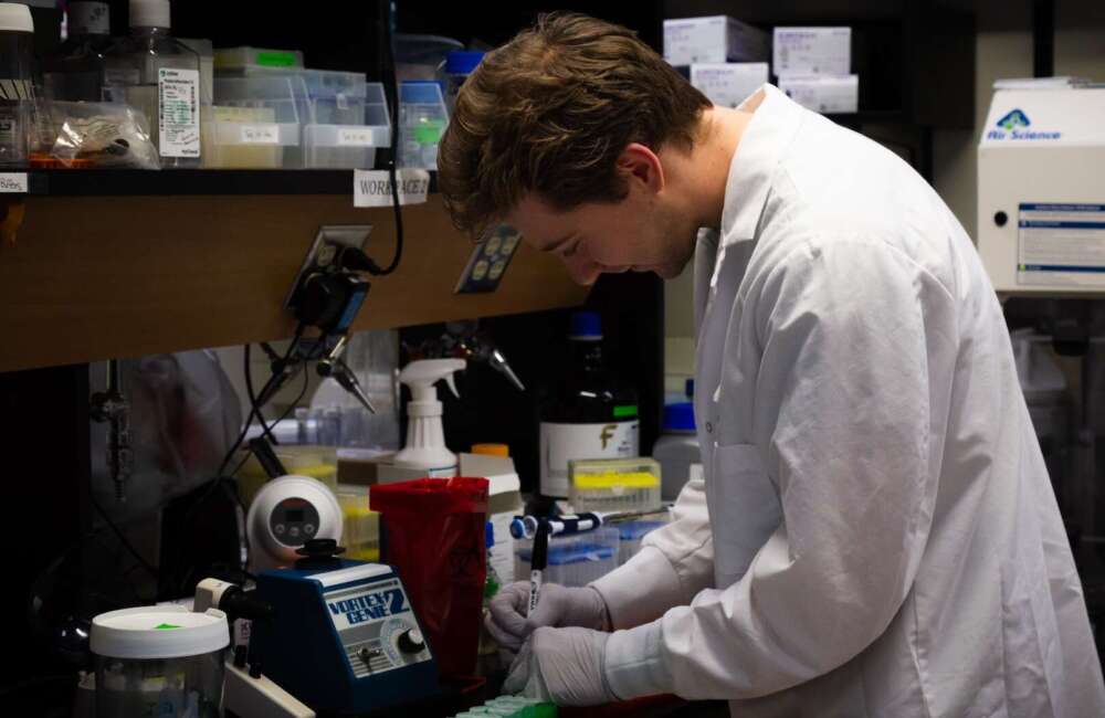 A researcher in a white lab coat and blue plastic gloves stands at a black counter full of lab equipment labelling specimens.
